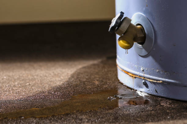Best Flood restoration services  in Montague, MI