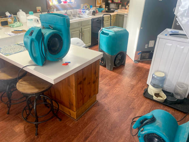 Best Flood damage cleanup  in Montague, MI