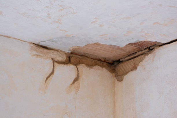 Best Basement water damage restoration  in Montague, MI