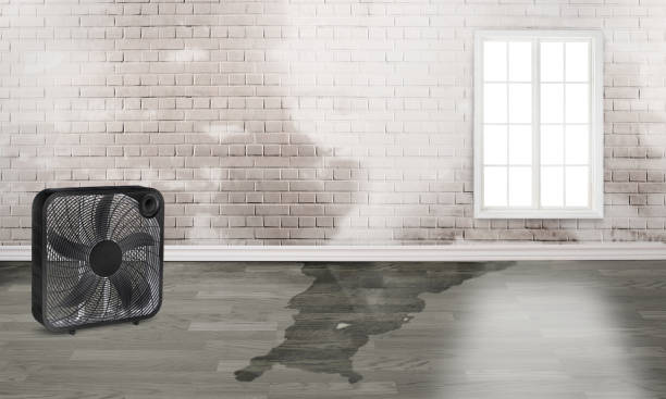 Best Water damage restoration cost  in Montague, MI