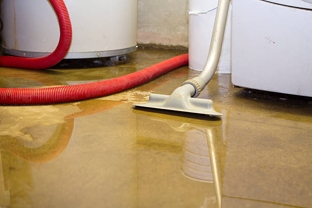 Best Ceiling water damage repair  in Montague, MI