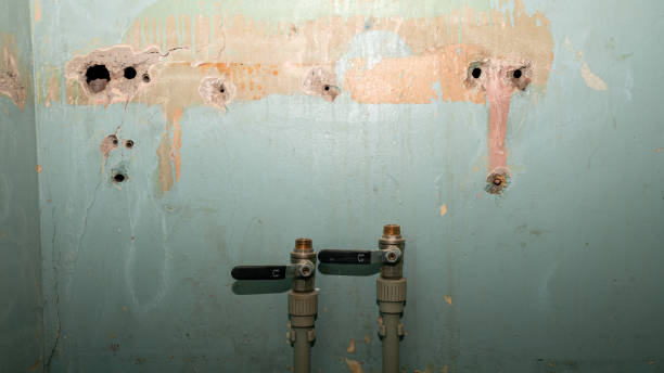 Best Local water damage restoration  in Montague, MI