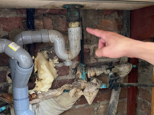 Best Residential water damage restoration  in Montague, MI