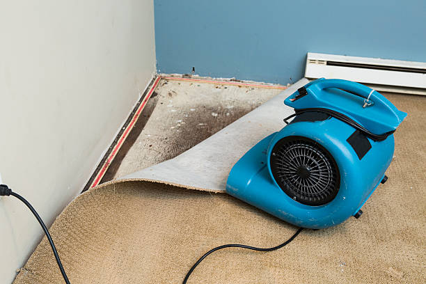 Best Sewage cleanup and water damage restoration  in Montague, MI